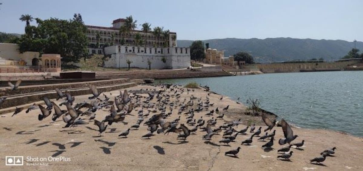 Pushkar Lake-4